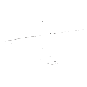 Hirsikeraudat