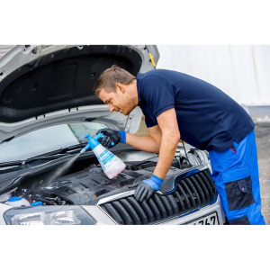 GLORIA Painesumutin EX100 CleanMaster 1.0L 2