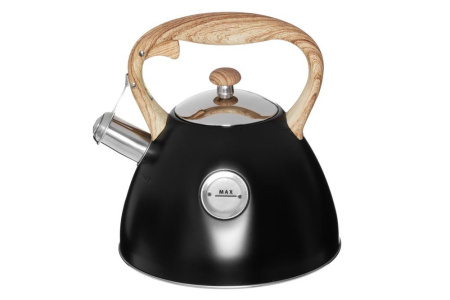 Vesipannu viheltävä 2,5 L