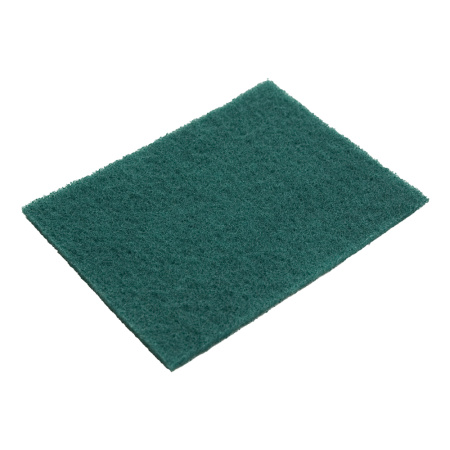 TASKI HANDPAD ABRASIVE 10PC W1