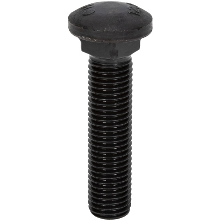 TIETERÄN KUPUKANTAPULTTI M16X70