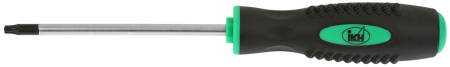 RUUVITALTTA T20X100MM
