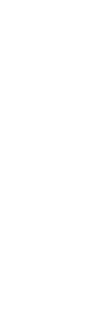 Ankkurointi